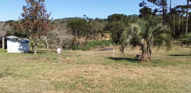 Fazenda Para Plantio de Grãos, Área Mecanizável - Foto 18