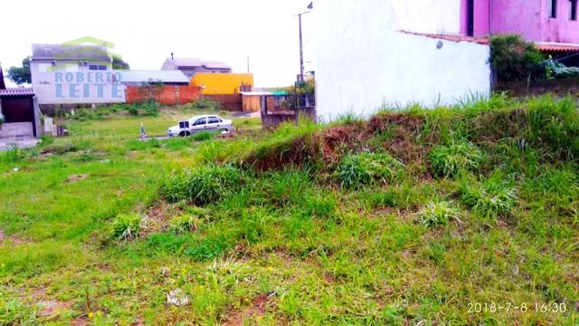 Terreno, Protásio Alves, Porto Alegre-RS - Foto 5