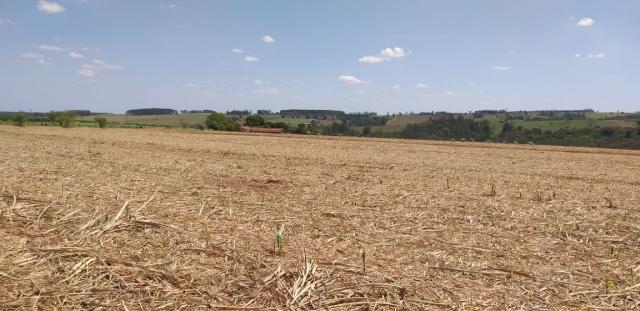 8320 | sítio à venda em nova esperança