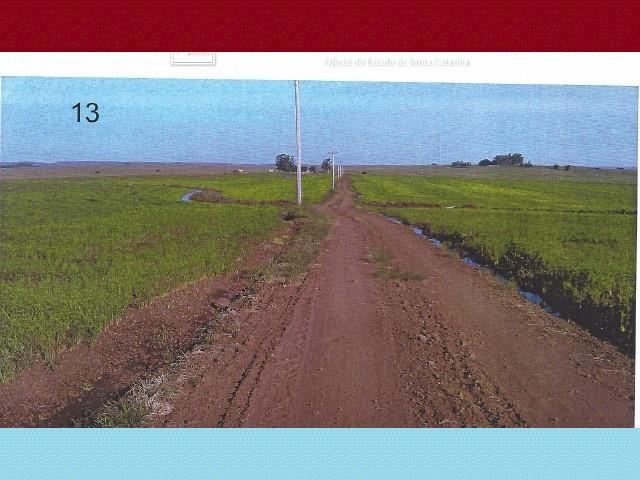 Alegrete (rs): Parte Da Fra?o De Campo; 25ha qwvsf rvjuw