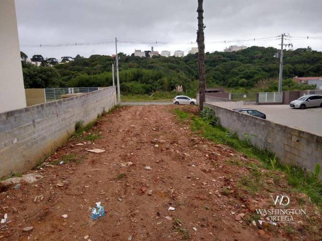 Terreno à venda, 4990 m² por r$ 1.700.000,00 - santo antônio - são josé dos pinhais/pr - Foto 7