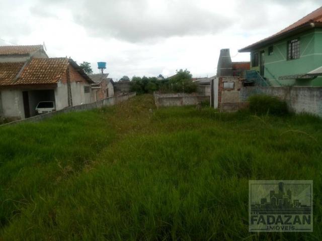 Terreno à venda, 660 m² por r$ 270.000,00 - guatupê - são josé dos pinhais/pr - Foto 8