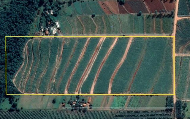 8320 | sítio à venda em nova esperança - Foto 6