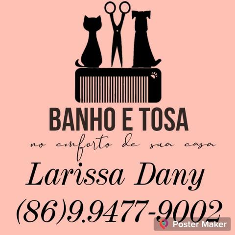Banho e tosa