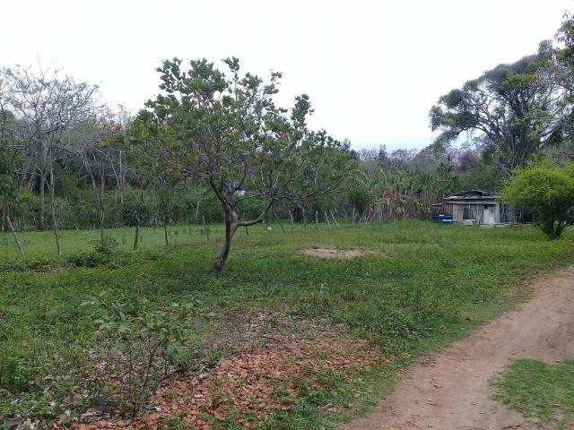 Sítio no bairro Chavão/Santo Antonio, Cabo Frio-RJ. 6.000m² - Foto 12