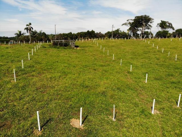 97-Terreno próximo a são Paulo - Foto 2