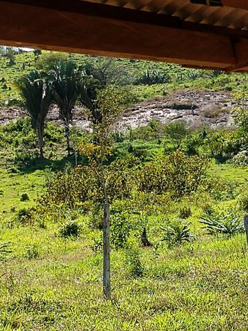 Terras em Governador Jorge Teixeira - Foto 3