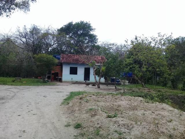 Sítio no bairro Chavão/Santo Antonio, Cabo Frio-RJ. 6.000m² - Foto 11