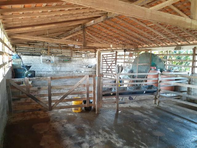 Lotes a partir de 20 mil - Foto 4
