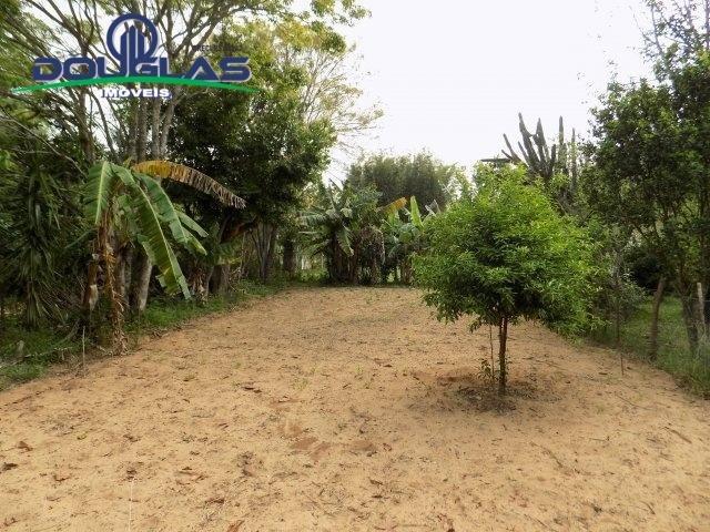 Douglas Imóveis- Tem Sítio 2500m², à Venda, Águas Claras - Foto 4