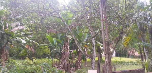 Sítio à venda em Centro, Benevides cod:7197 - Foto 5