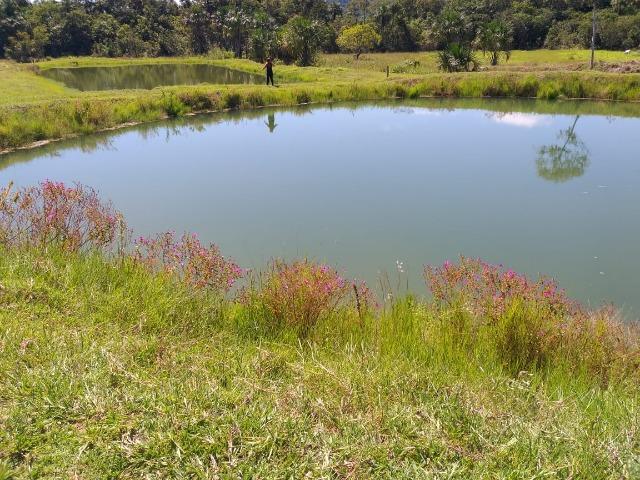 Vendo chácara na agrovila das palmeiras porteira fechada - Foto 7