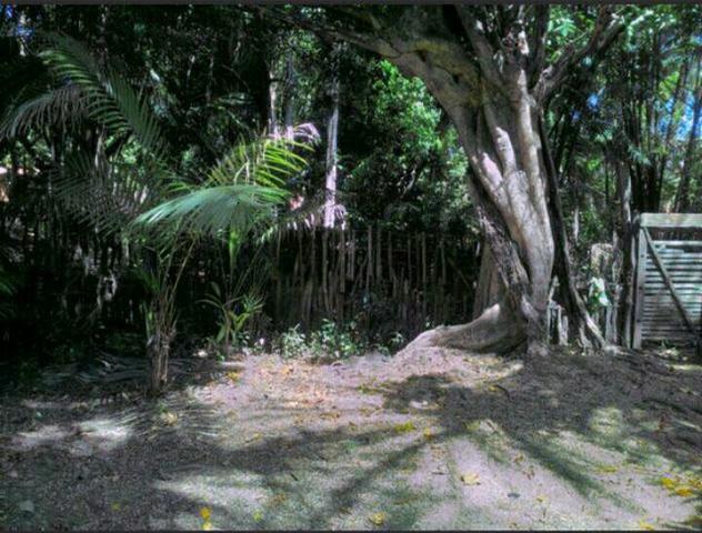 Vendo uma casa em barreirinhas! - Foto 9