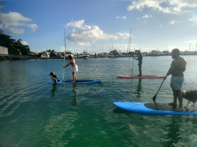 Stand Up Paddle (Novo direto Fabrica) - Foto 5