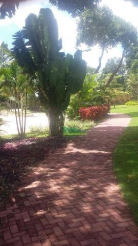 Terreno à venda, 616 m² por R$ 220.000 - Aldeia - Paudalho/PE - Foto 12