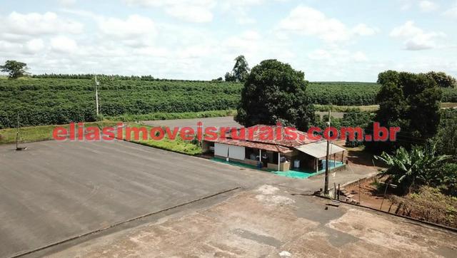 Fazenda de café - 110.000 pés - Patrocínio - MG - Foto 4