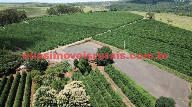 Fazenda de café - 110.000 pés - Patrocínio - MG - Foto 6
