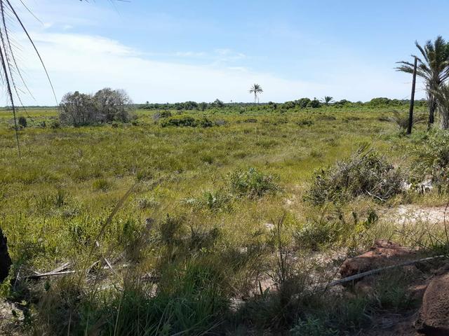 Fazenda próxima à Mucuri, Bahia - Foto 3