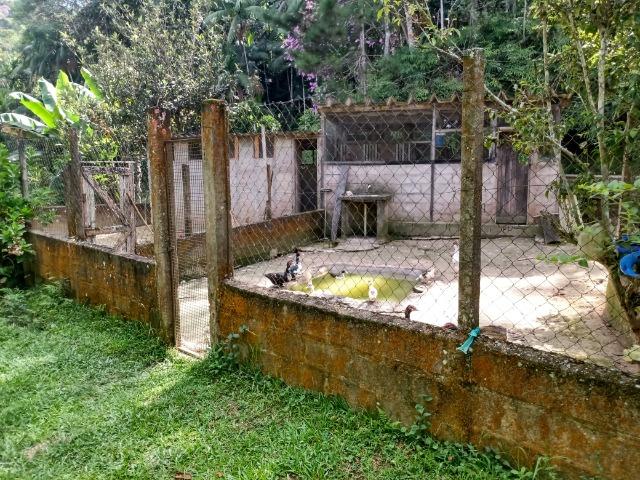 Sitio com 20.000 m²,bela casa,imenso lago e espaço para criações - Foto 16