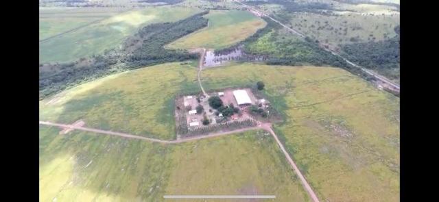 Excelente fazenda
