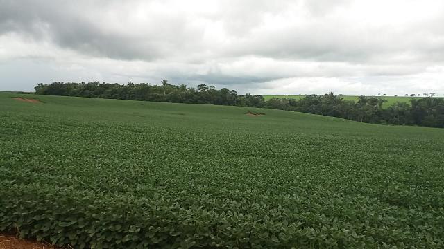 Excelente fazenda - Foto 6
