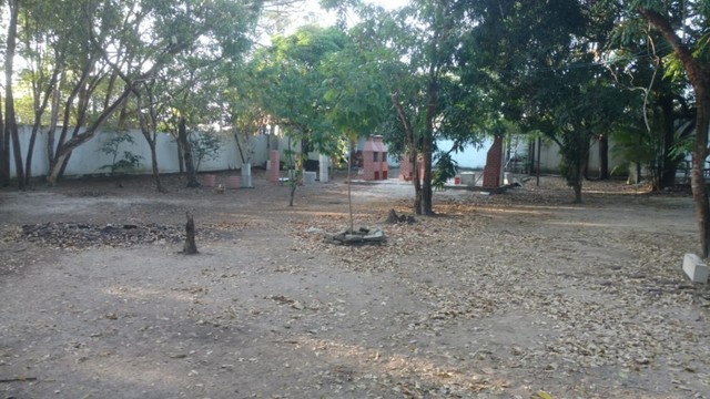 Sítio na JK - Foto 4