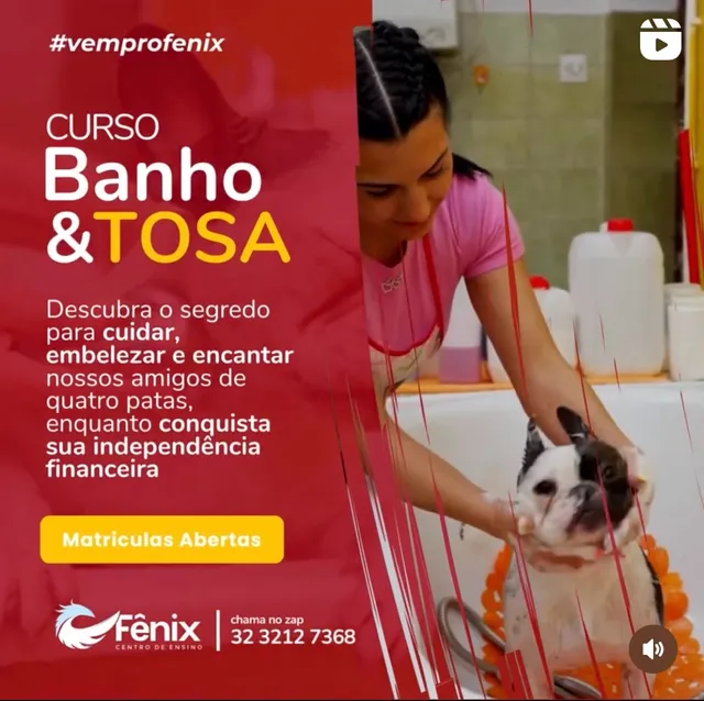 Pet Spuma Banho & Tosa