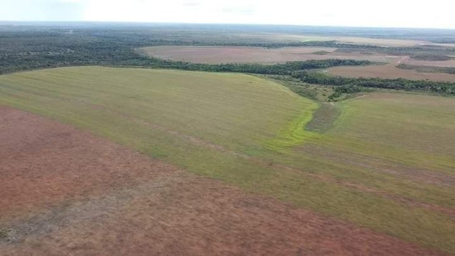Fazenda em Rio Sono plantando lavoura. - Foto 5