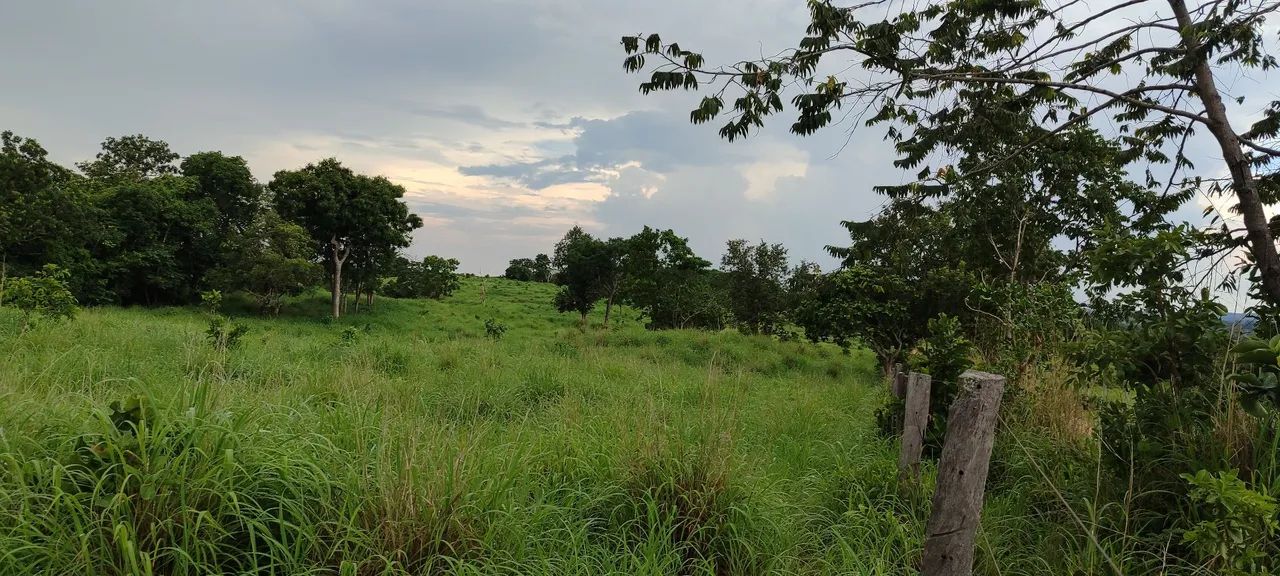 Chácara em buriti de Goiás  - Foto 4