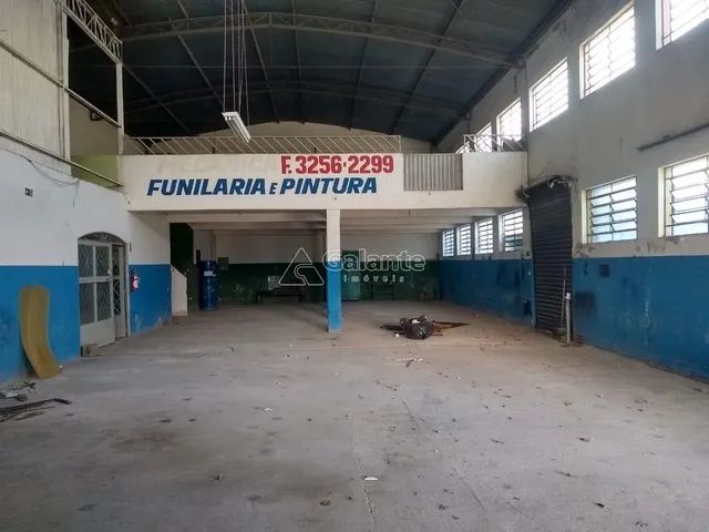 barracão - Parque São Quirino - Campinas - Foto 5