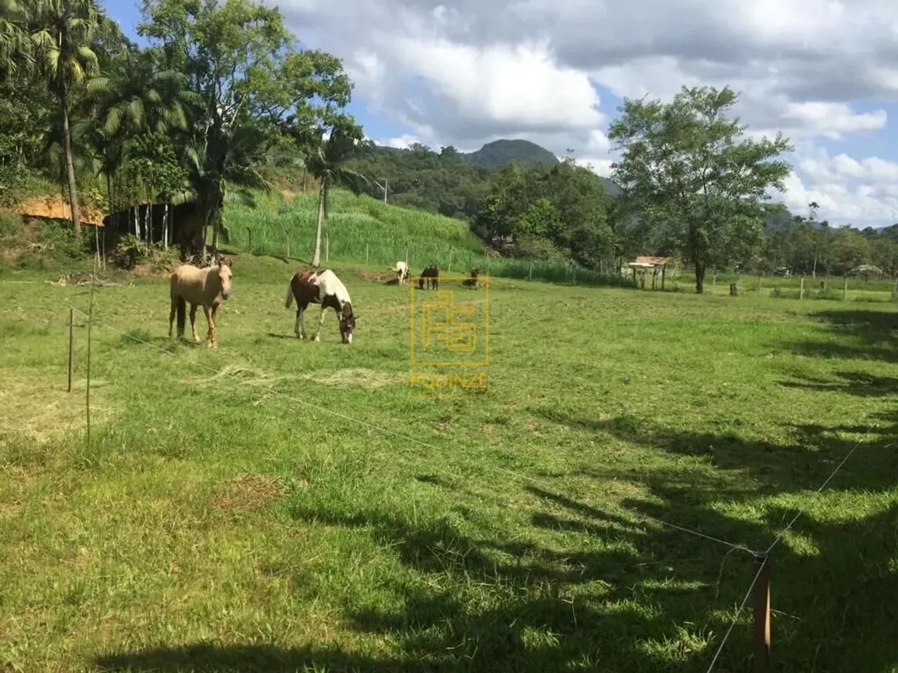 Sítio no Bairro Dona Clara em Timbó - Foto 4