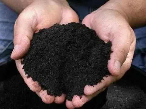 Terra Preta Adubada | Caraguatatuba SP