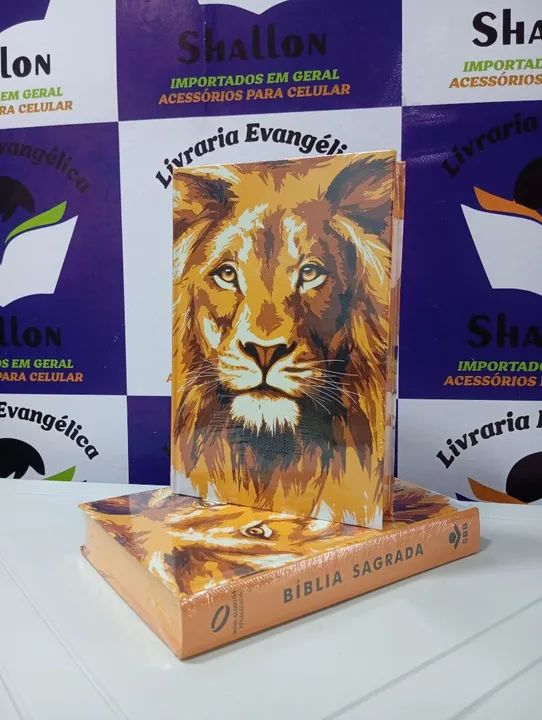 Bíblia Leão Em Oferta - Foto 4