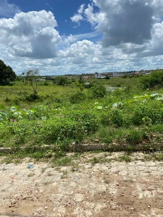 Terreno 10x25 no Loteamento Jardim das Aguas em Sapé - Foto 4