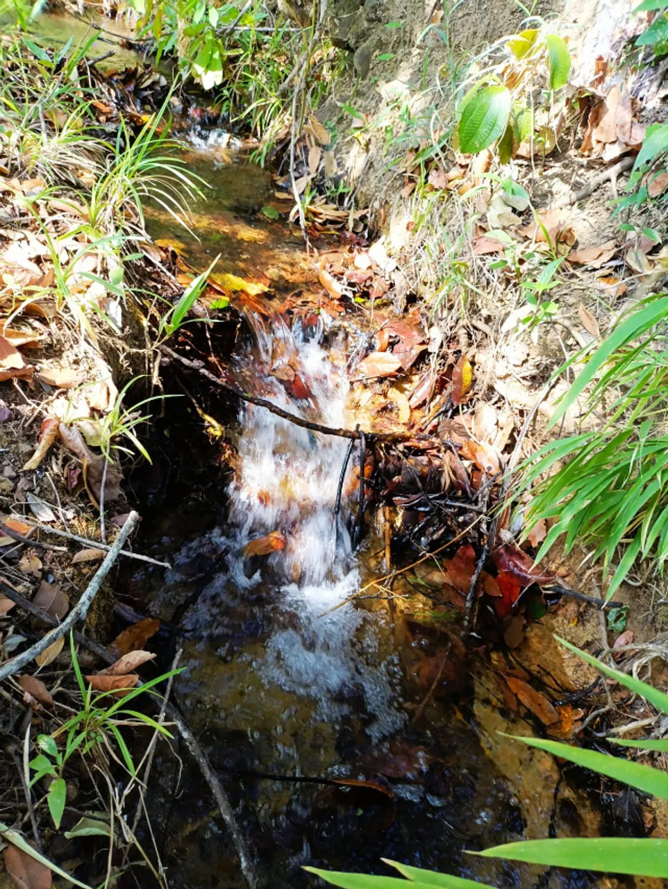 linda chacarra a 11 km da Jk com muita água