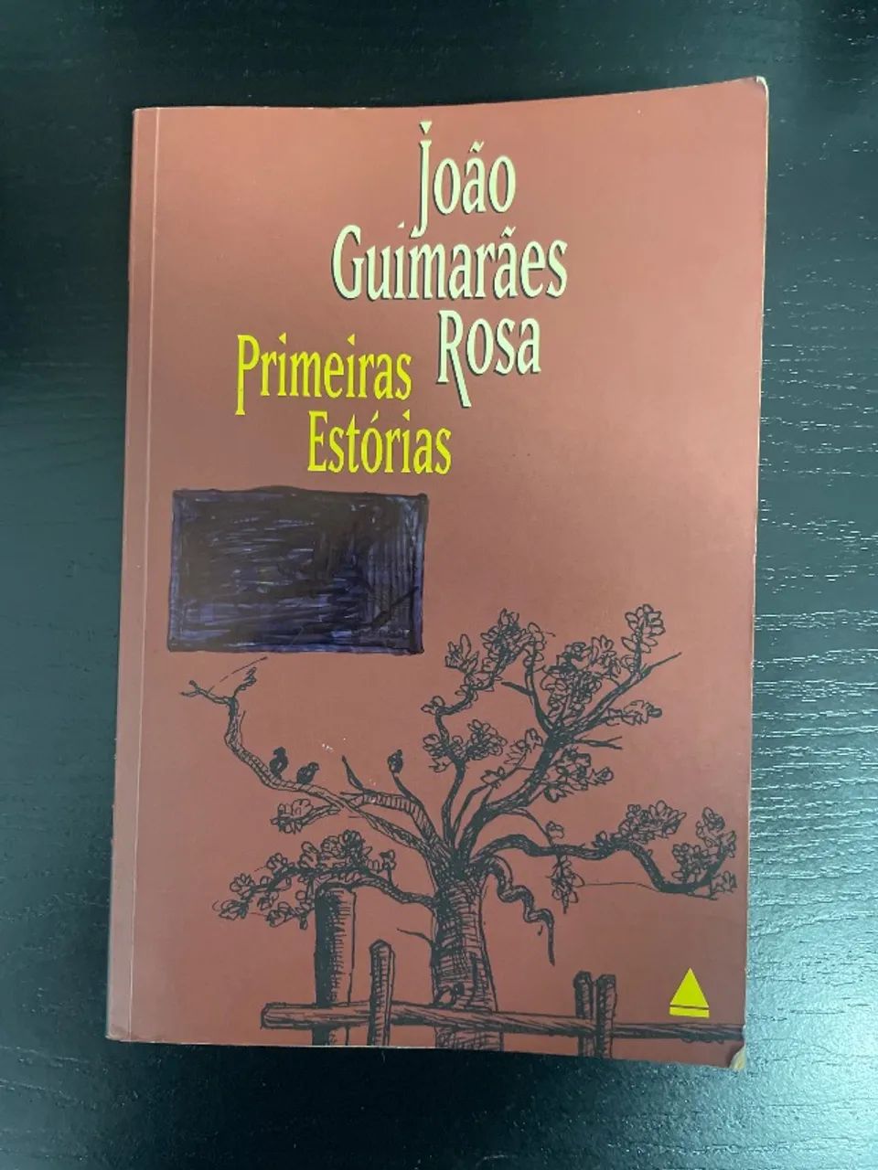 Livro paradidático Primeiras Historias