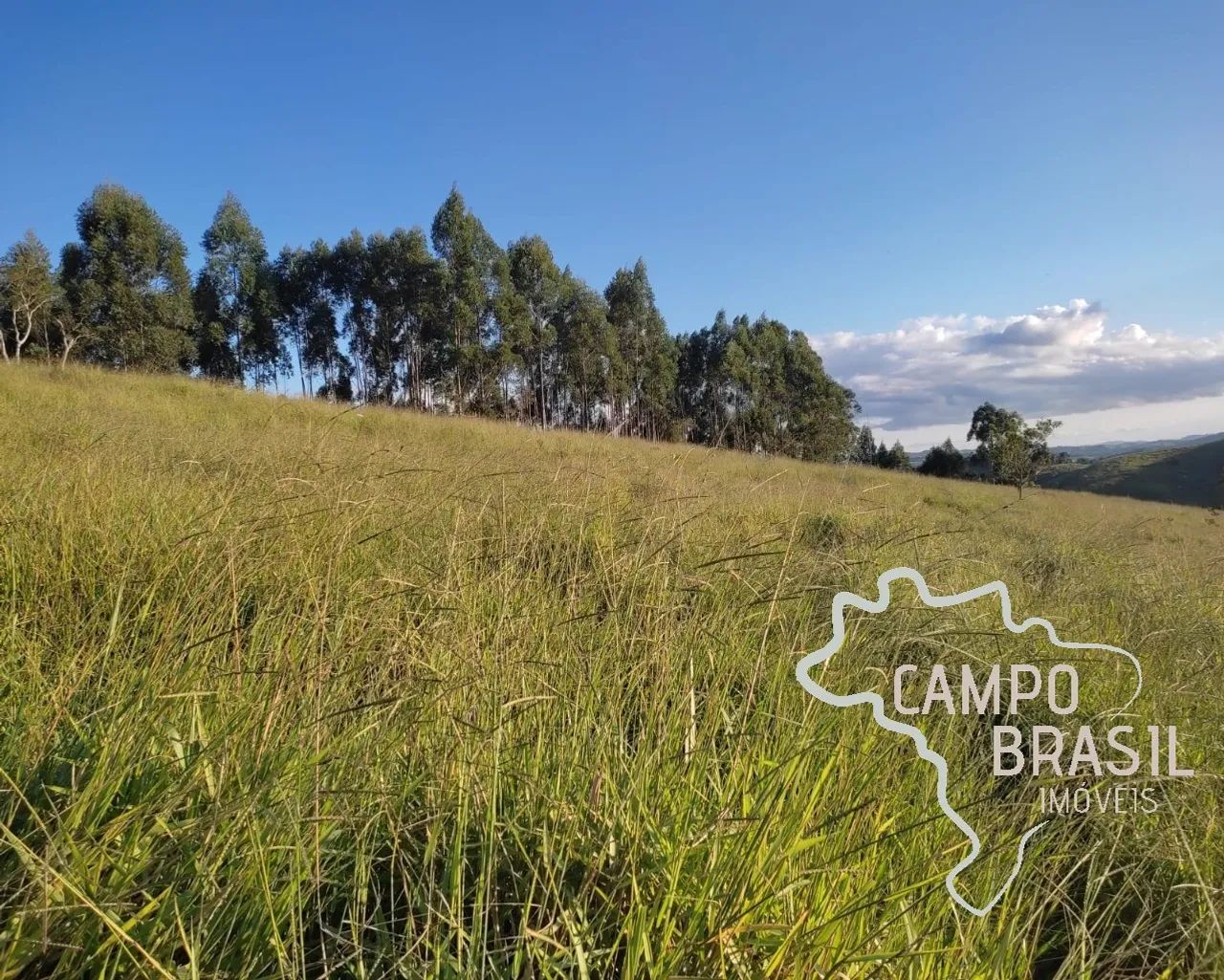 ÁREA RURAL 150.000M² COM LINDA VISTA, EM JAMBEIRO! - Foto 4