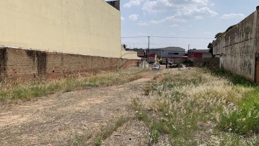 Terreno Comercial Av. Rio Branco - Foto 5