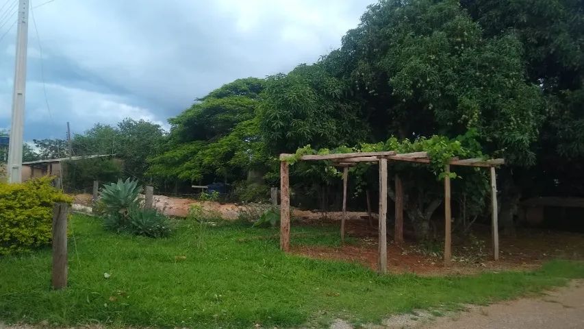 Chácara 5 hectares - Brazlândia DF - Foto 3