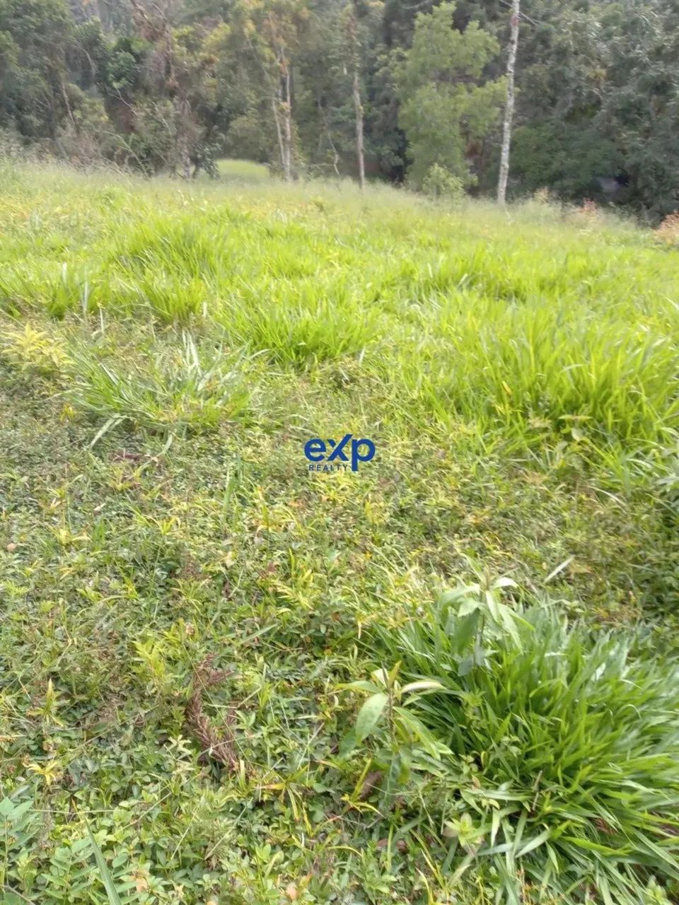 Terreno 60.000m² em Visconde de Mauá Resende RJ - Foto 5