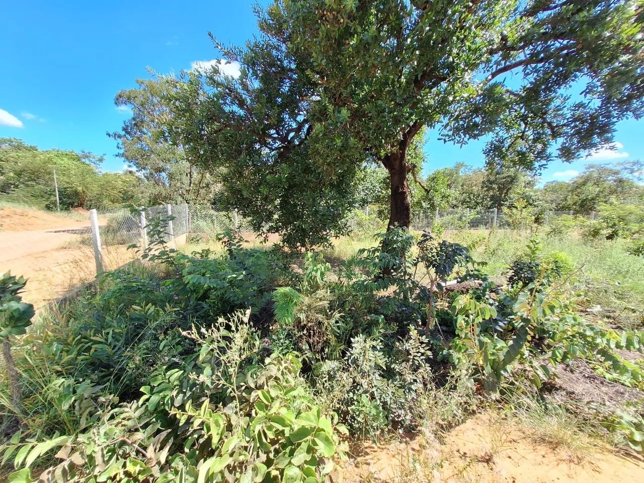 Vendo um terreno de 1.000 m² no Bairro Chácara das Mansões em Campo Grande MS  - Foto 3