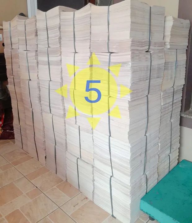 Jornal Pet/ Embrulhos/ Forração  - Foto 6