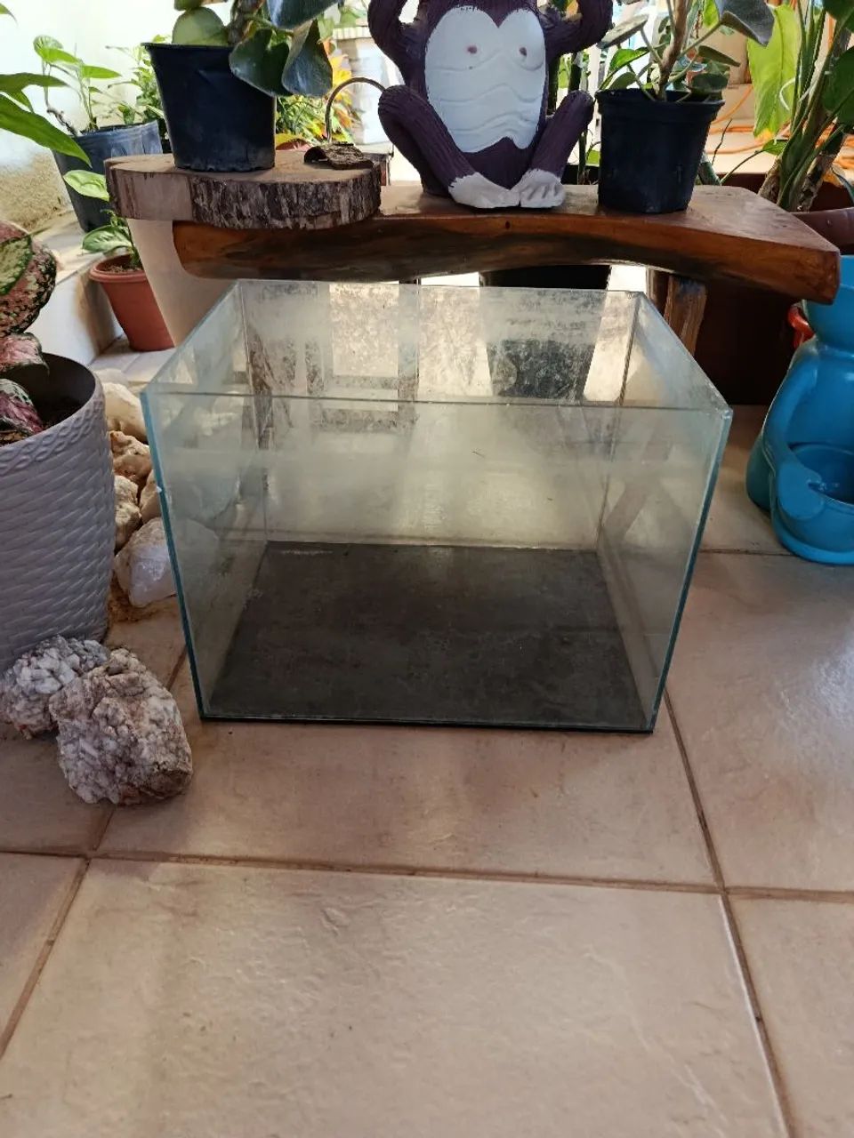 VENDA