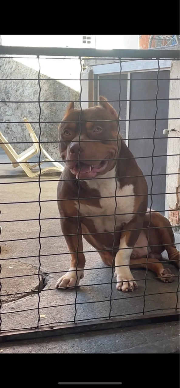 Pit monster 