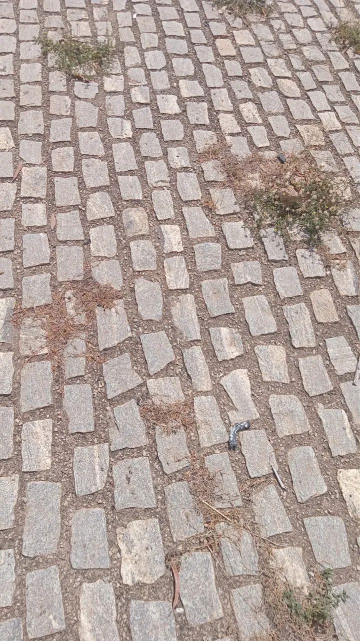 Paralelepípedo  - Foto 2