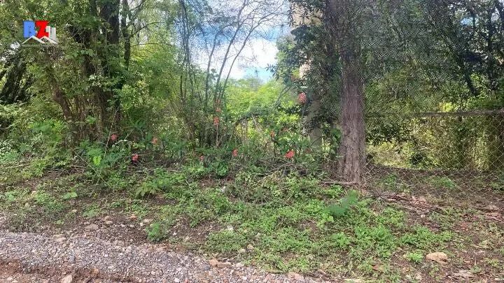 Terreno Lote em Loteamento Santo Antônio, Boituva/SP - Foto 4