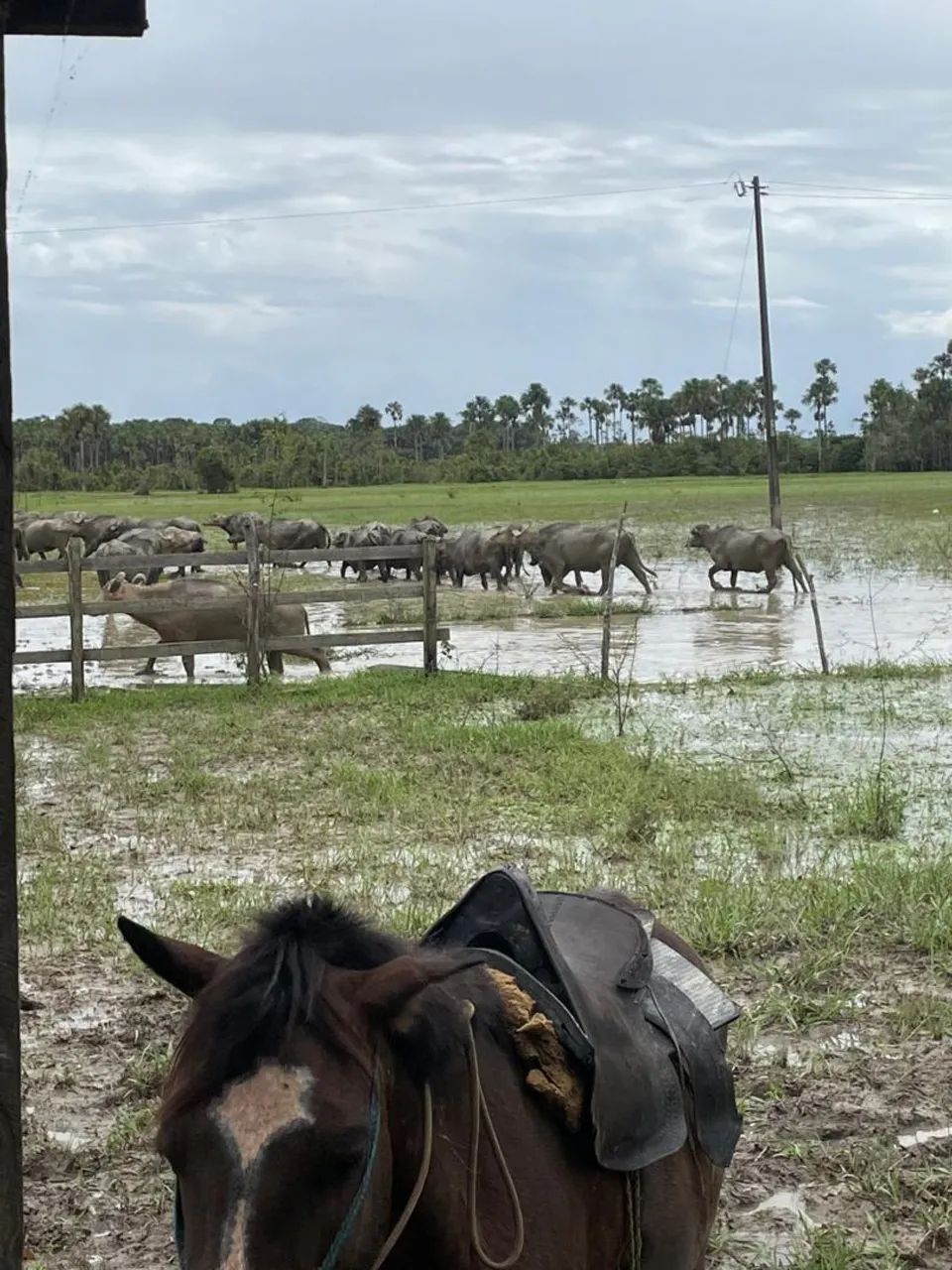 Foto - Macapá - Central