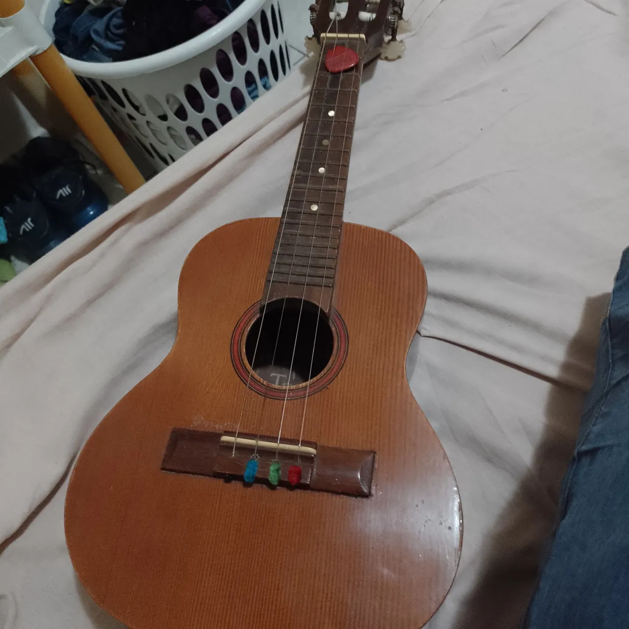 Cavaquinho Gianini trovador