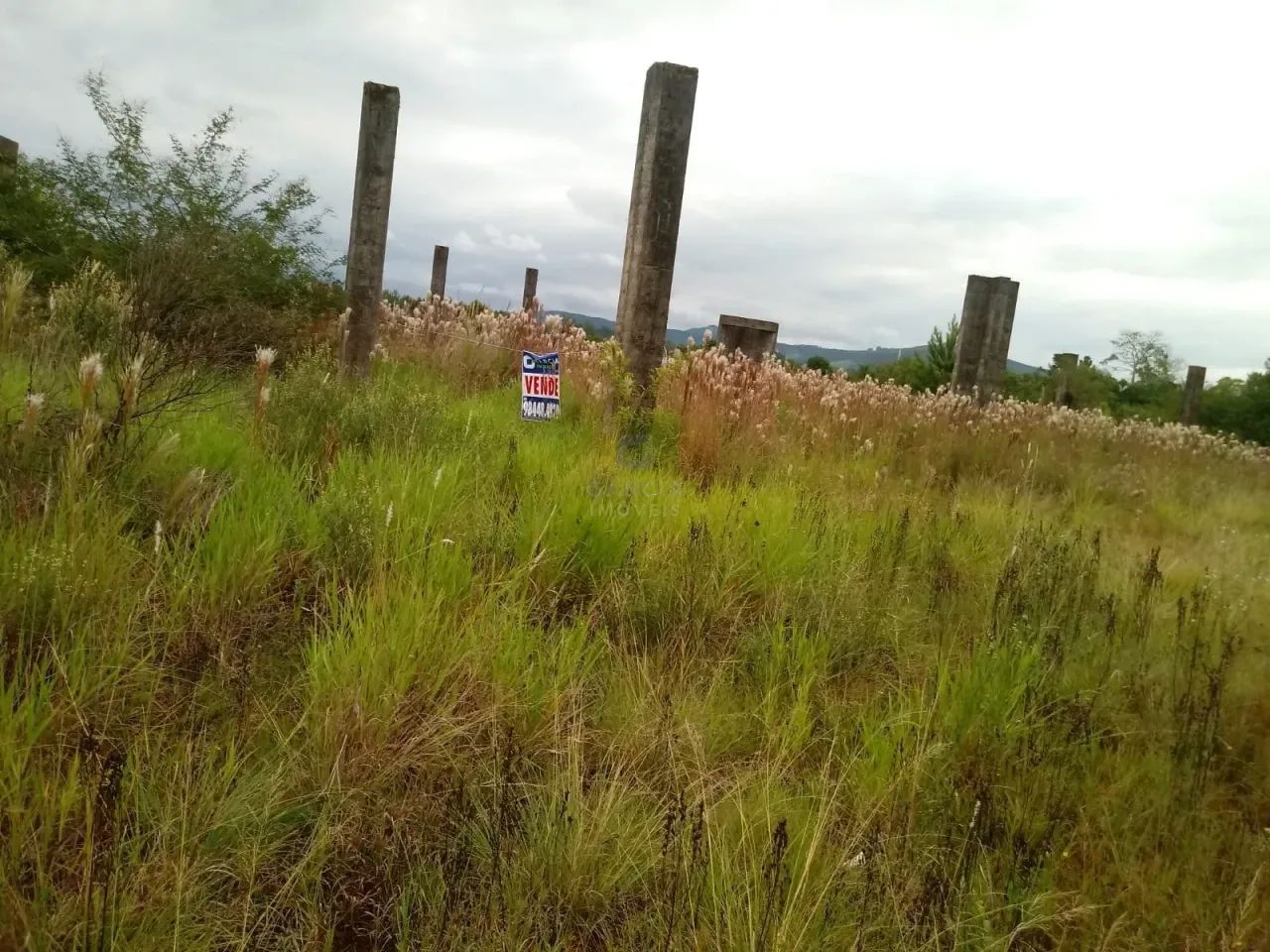 Terrenos a venda - Santa Maria - Foto 3