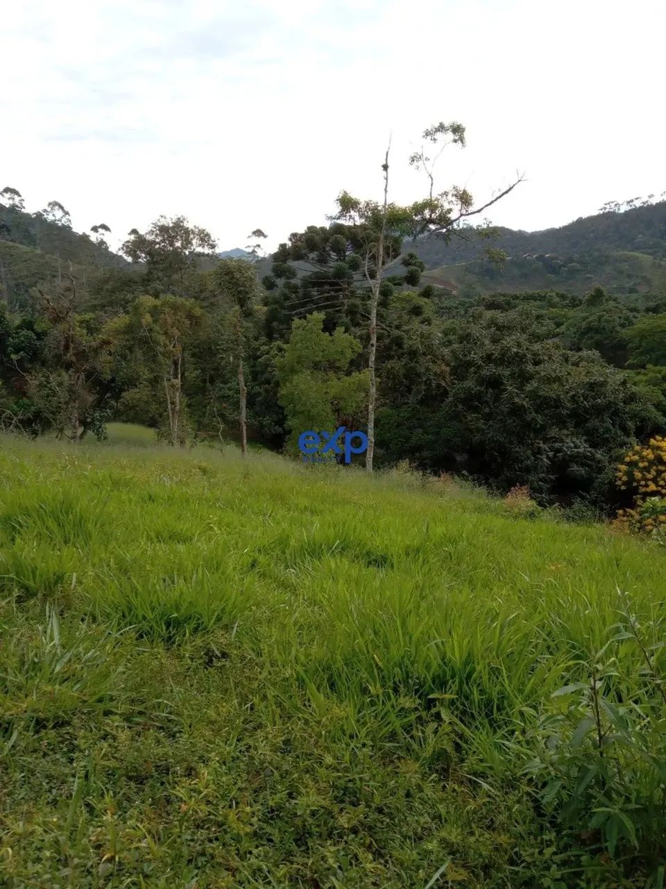 Terreno 60.000m² em Visconde de Mauá Resende RJ